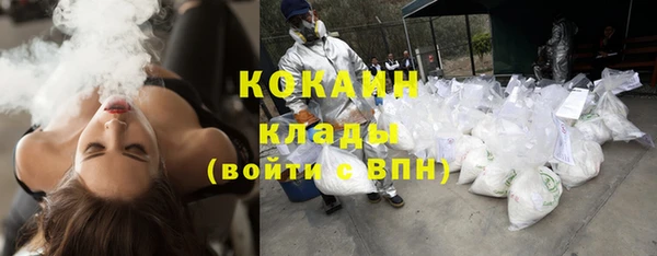шишки Белокуриха