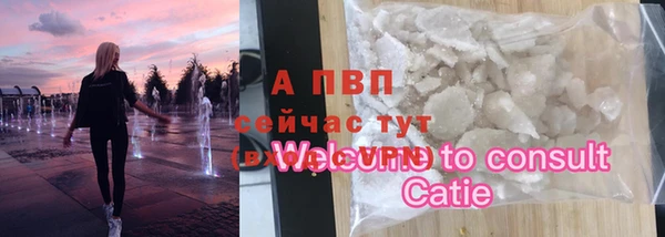 сатива Переславль-Залесский