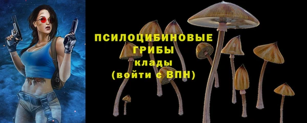 шишки Белокуриха