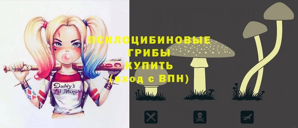 шишки Белокуриха
