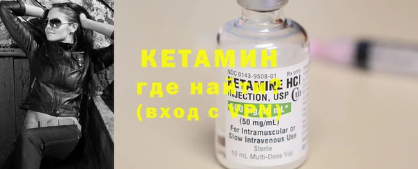 шишки Белокуриха