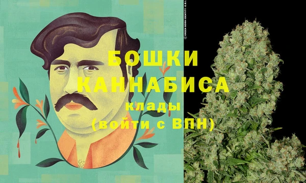 шишки Белокуриха