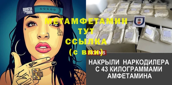 шишки Белокуриха