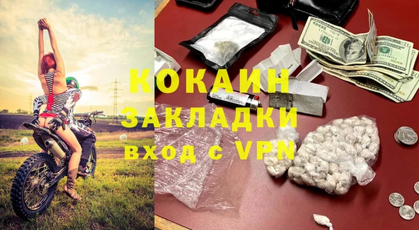 шишки Белокуриха