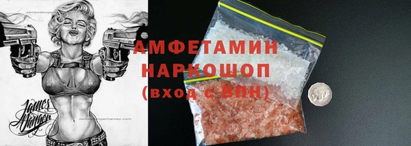 шишки Белокуриха