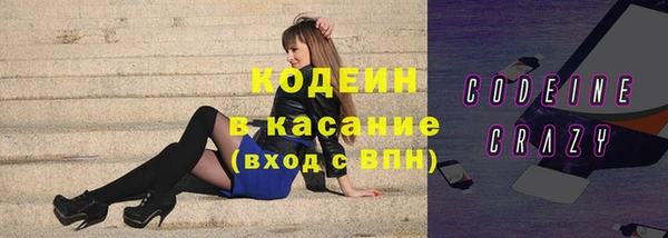 шишки Белокуриха